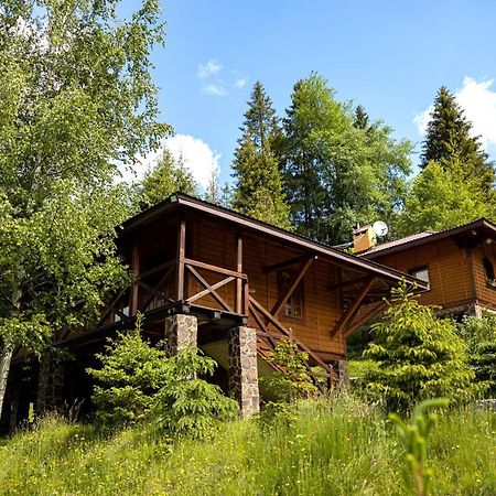 Медовий Двір Nizhnyaya Rozhanka Ngoại thất bức ảnh